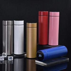 Stainless Steel Water Bottle, with Temperature